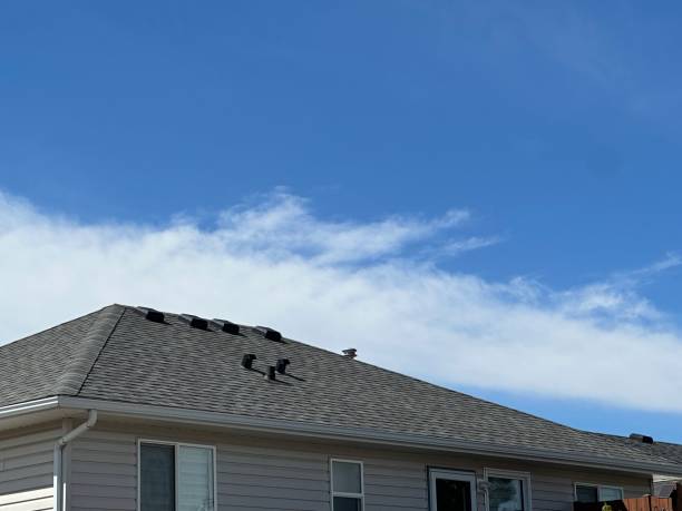 Best Steel Roofing  in Englewood, TN